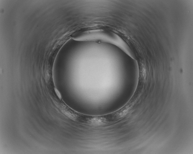 X0000068810566200605051148