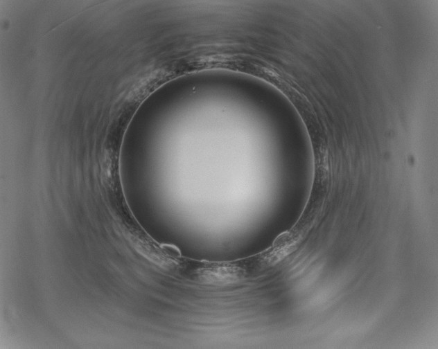 X0000068810567200605051148