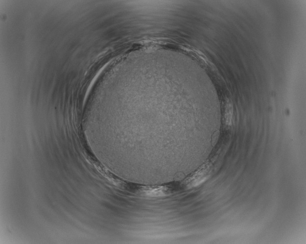 X0000068810569200605051148