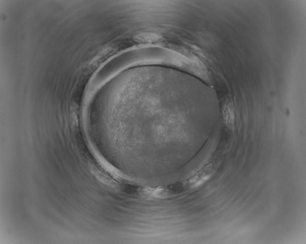 X0000068810570200605051148