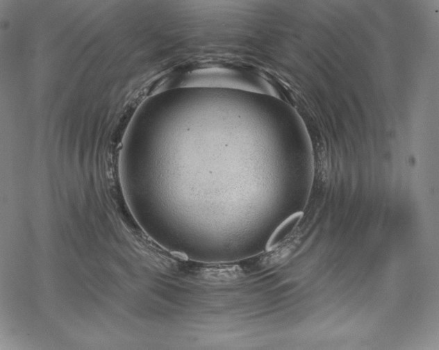 X0000068810571200605051148