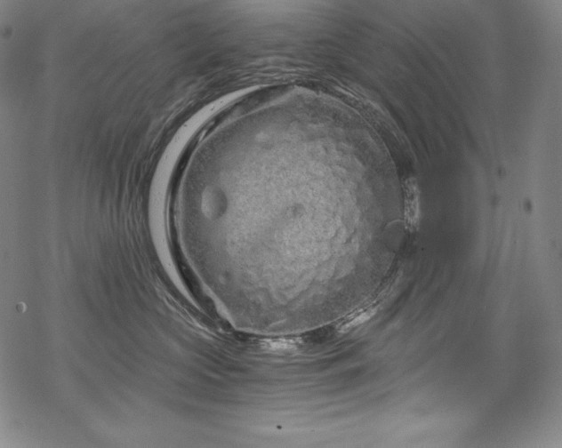 X0000068810573200605051148