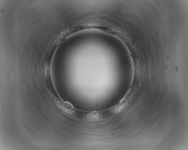 X0000068810574200605051148