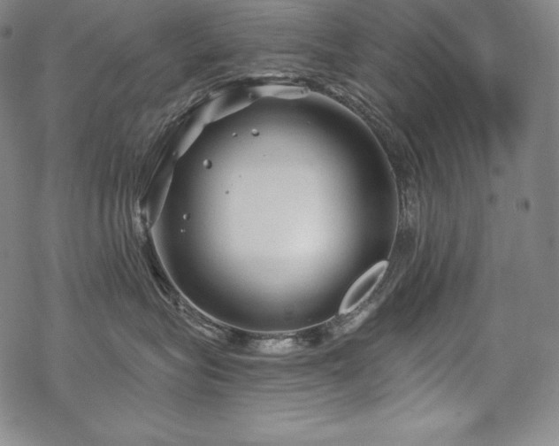 X0000068810575200605051148