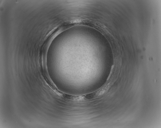 X0000068810576200605051148