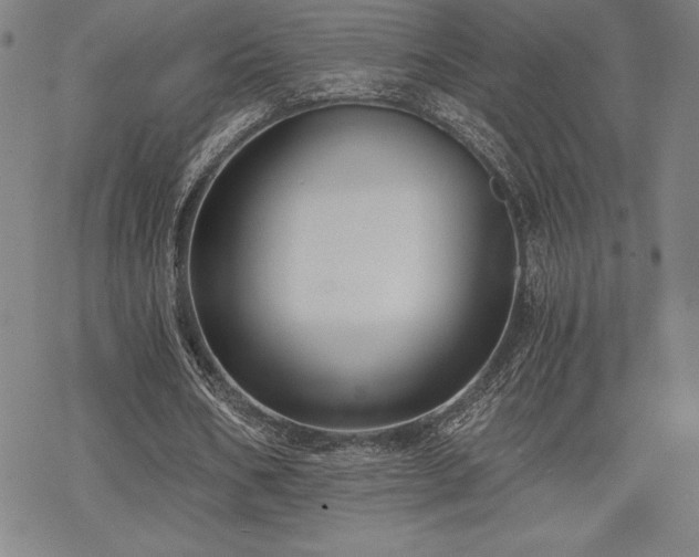 X0000068810578200605051147