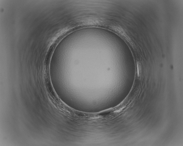 X0000068810579200605051147