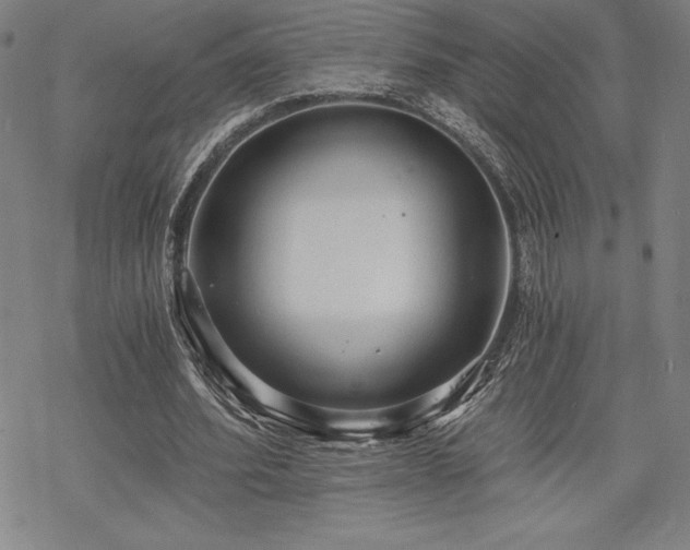 X0000068810580200605051147