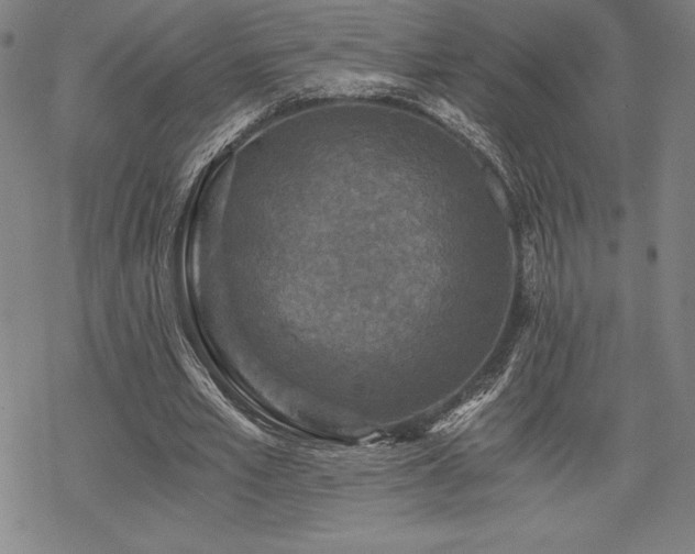 X0000068810581200605051147