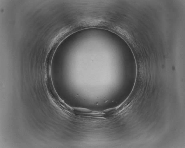 X0000068810582200605051147