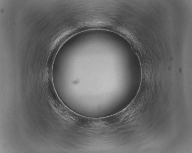 X0000068810583200605051147