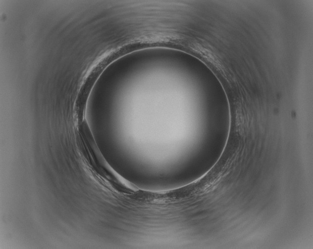 X0000068810584200605051147