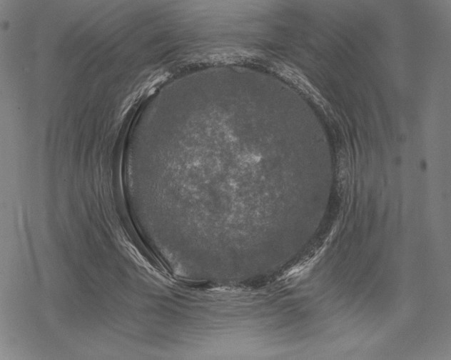 X0000068810585200605051147