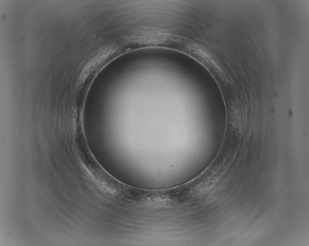 X0000068810586200605051147