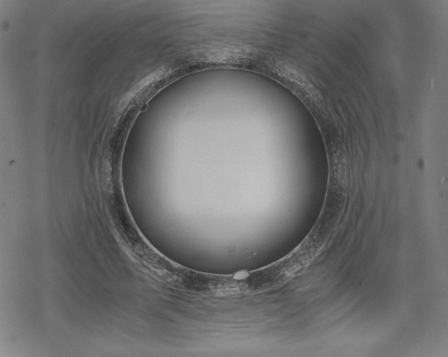 X0000068810587200605051147