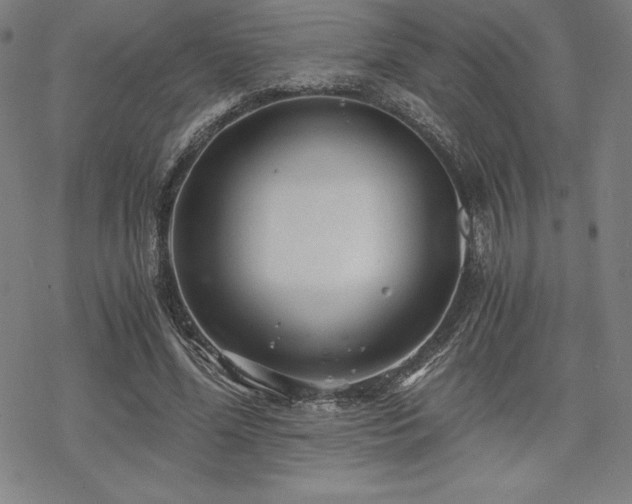 X0000068810588200605051147