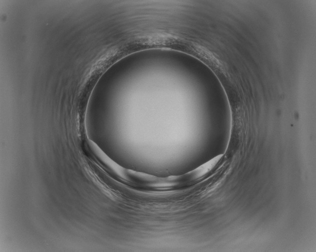 X0000068810589200605051147