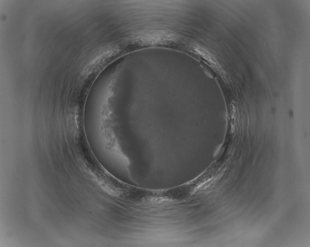 X0000068810590200605051147