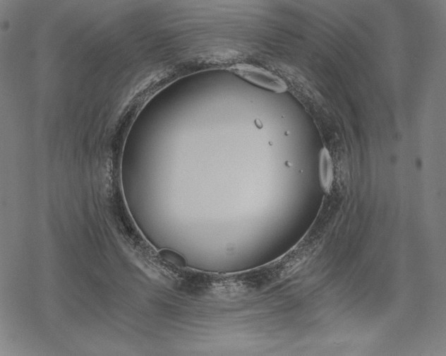 X0000068810591200605051147