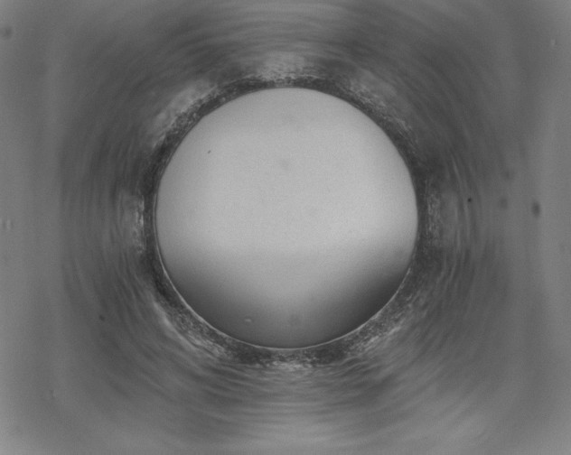 X0000068810592200605051147