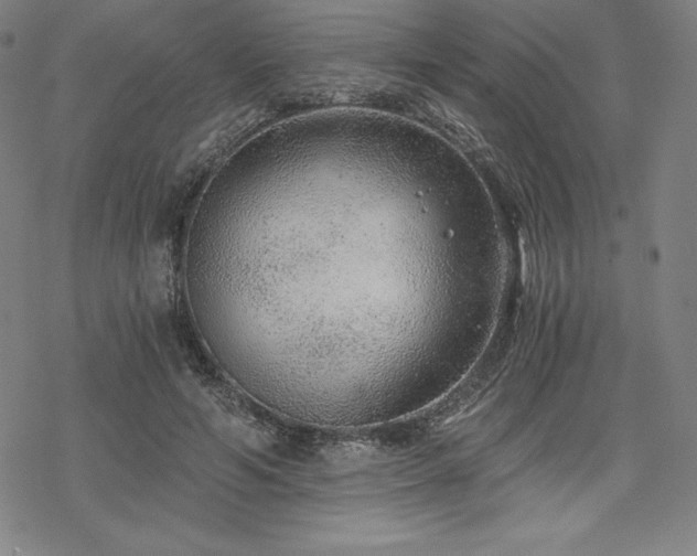 X0000068810594200605051147