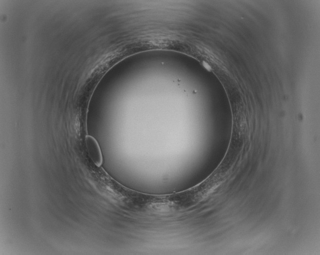 X0000068810595200605051147