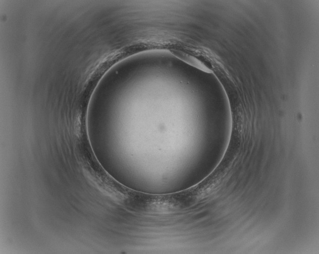 X0000068810596200605051147