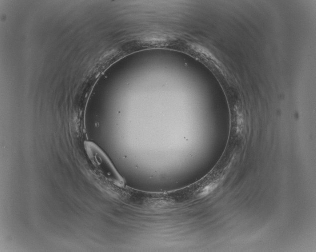 X0000068810597200605051147