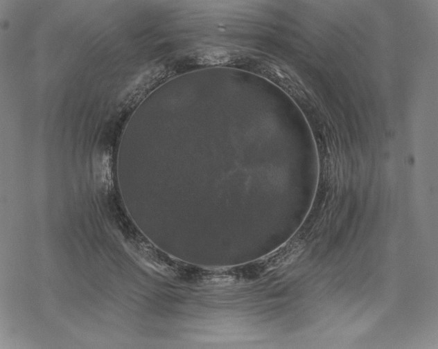 X0000068810598200605051147