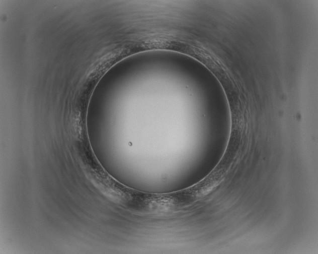 X0000068810599200605051147