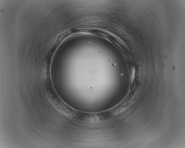 X0000068810600200605051147