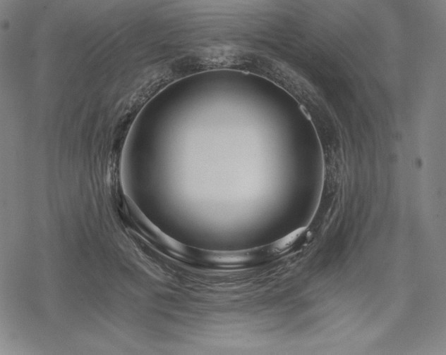 X0000068810601200605051147