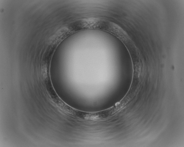 X0000068810602200605051147