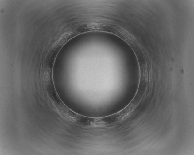 X0000068810603200605051147