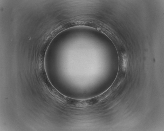 X0000068810604200605051147