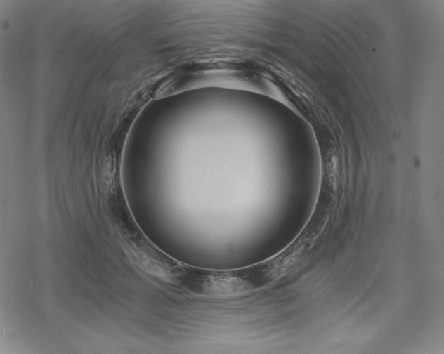 X0000068810605200605051147