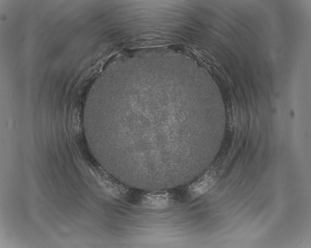 X0000068810606200605051147