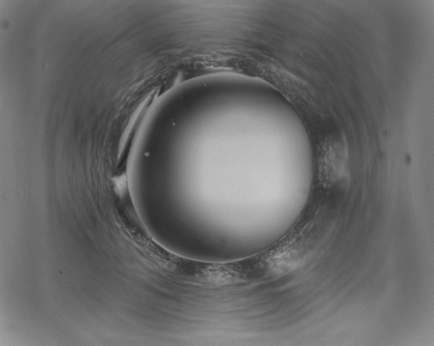 X0000068810608200605051147