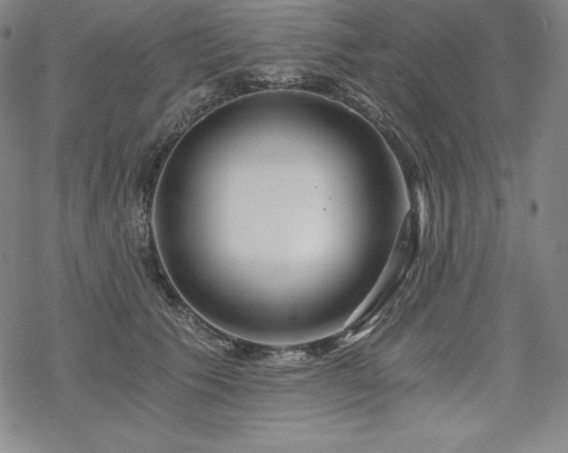 X0000068810609200605051147