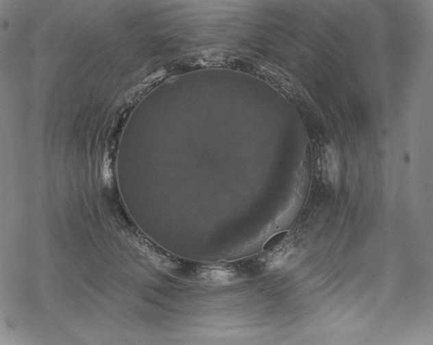 X0000068810610200605051147