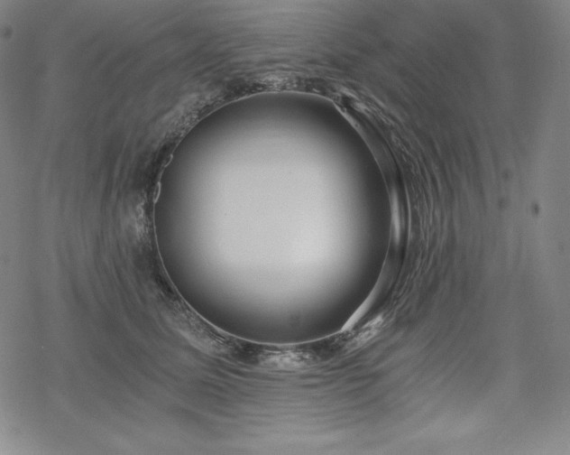 X0000068810611200605051147