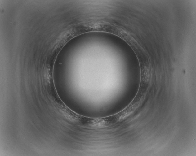 X0000068810612200605051147