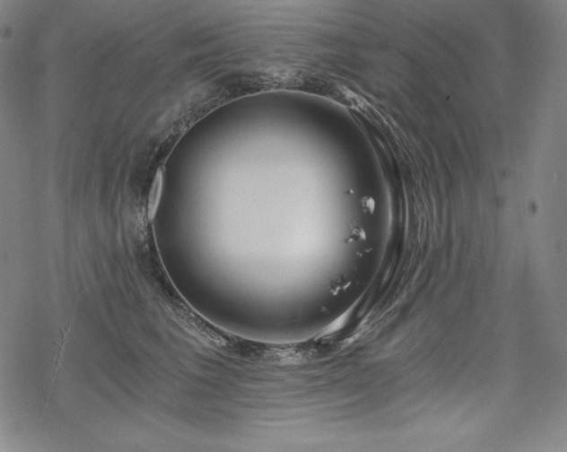 X0000068810613200605051147