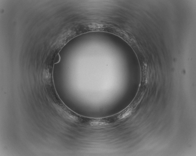 X0000068810614200605051147