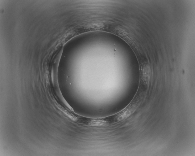 X0000068810617200605051147