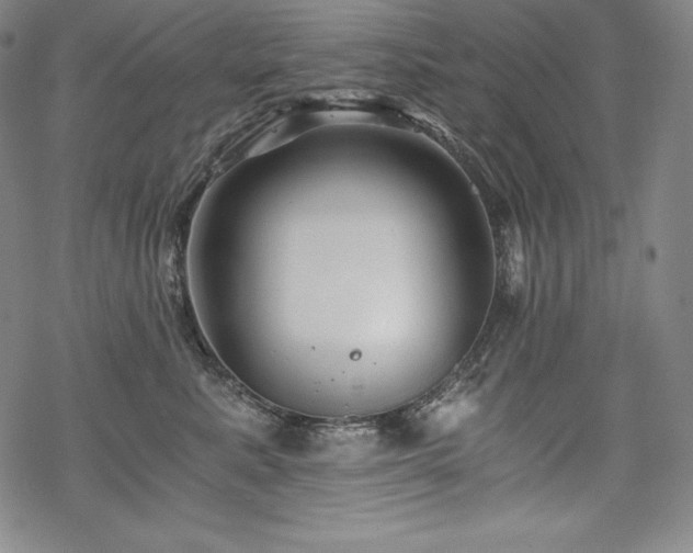 X0000068810619200605051147