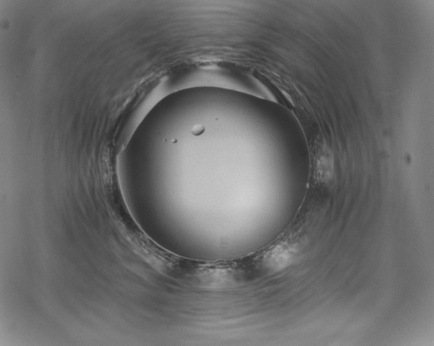 X0000068810620200605051147