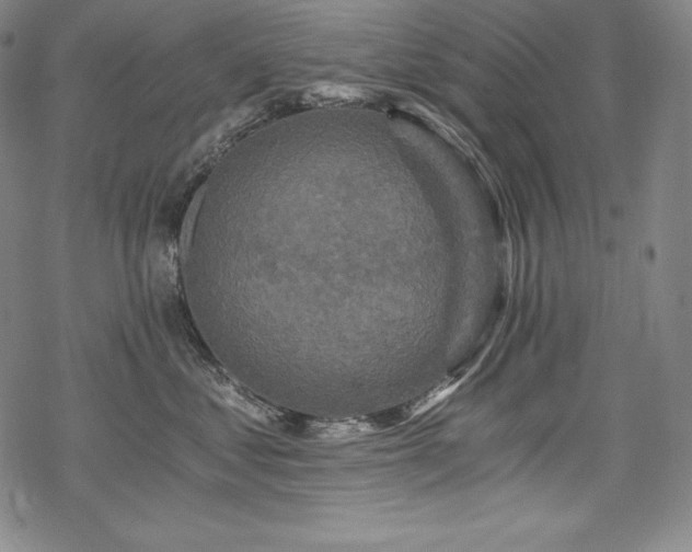 X0000068810621200605051147