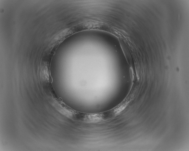 X0000068810622200605051147