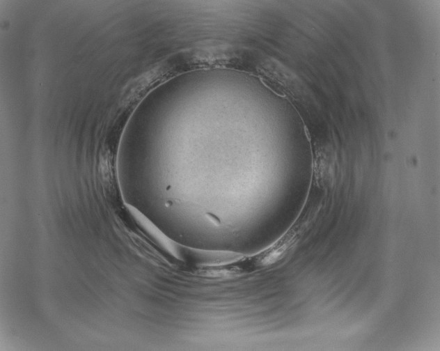 X0000068810623200605051147